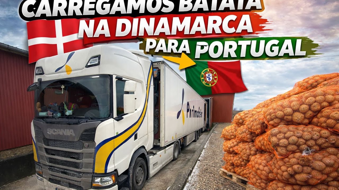 Quem diria? Fomos à Suécia e voltámos com batatas para Portugal! Da Dinamarca 🇩🇰 (primafrio)