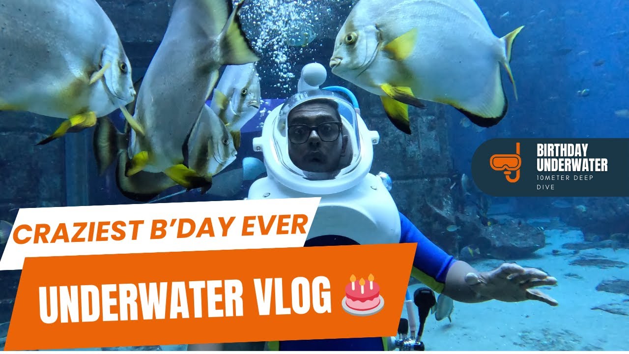 I Celebrated My Birthday With SHARKS $ STINGRAYS IN DUBAI || Dubai Vlog!