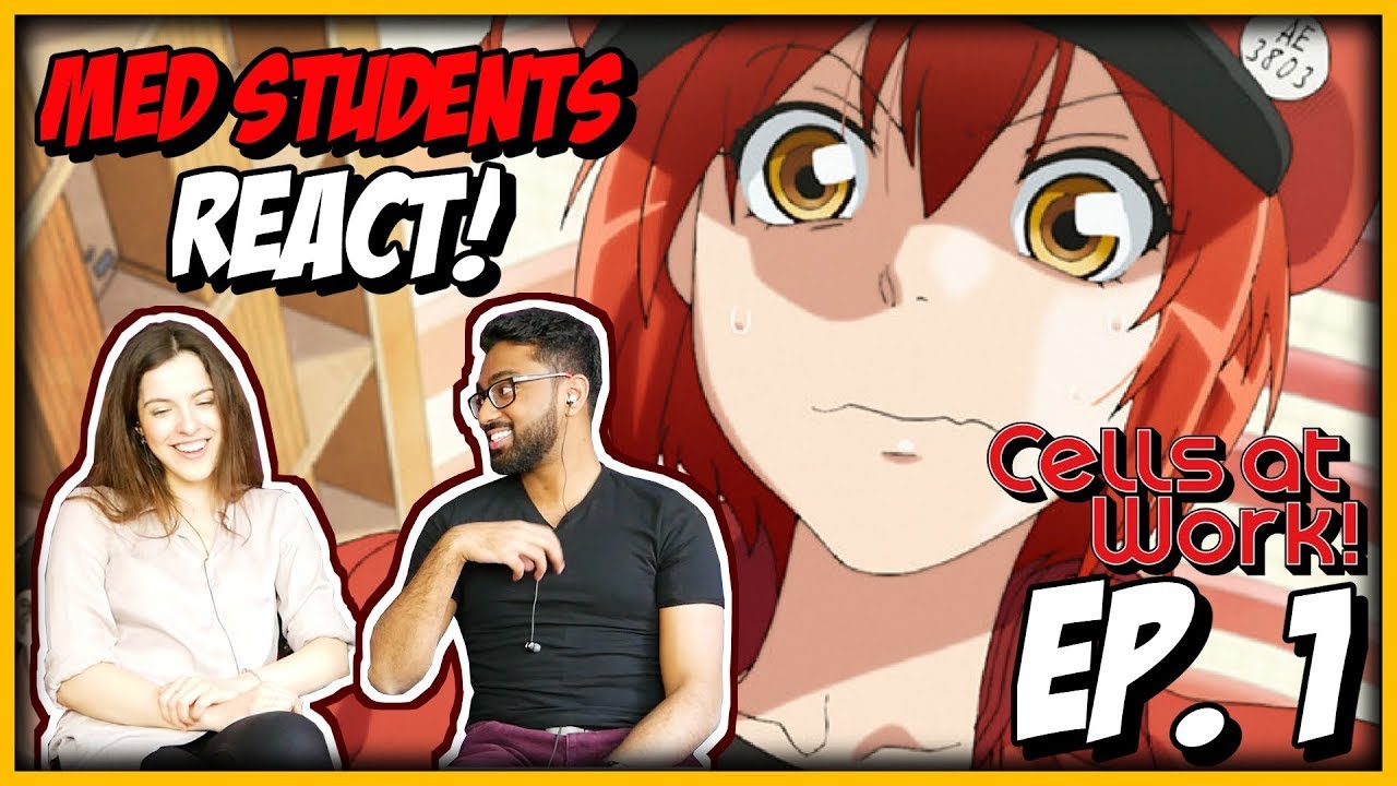 MED STUDENTS REACT TO CELLS AT WORK! EPISODE 1 REACTION
