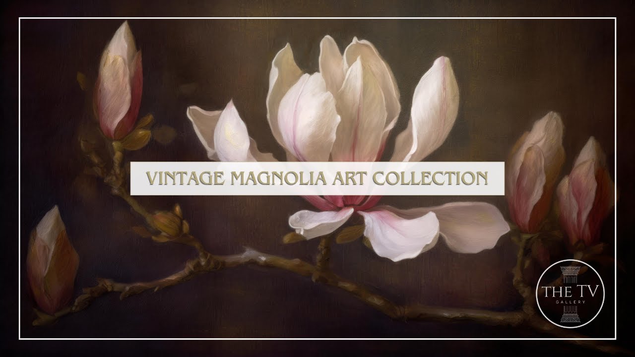 Vintage Magnolia Art | 4K TV Frame Art Screensaver | Vintage Moody Inspired Floral Art | 6 scenes