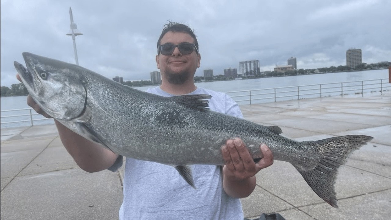 Michigan Pier fishing for BIG King Salmon