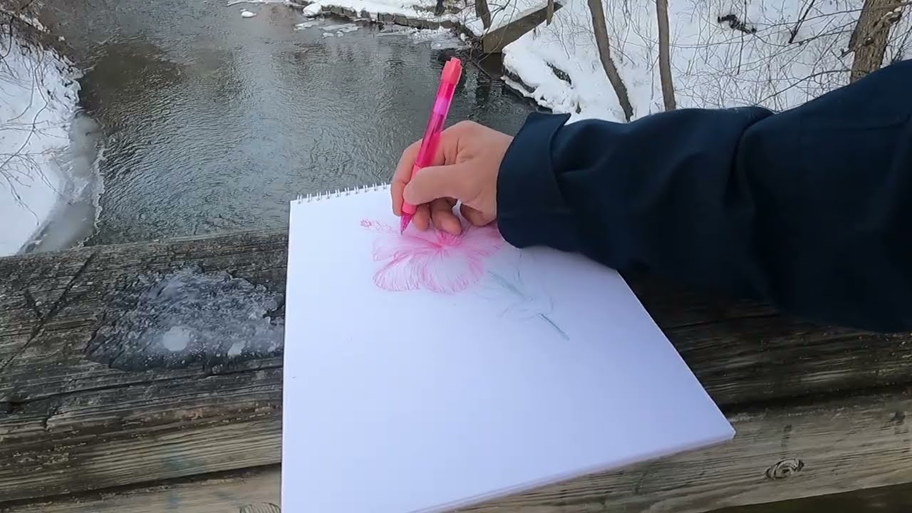 Drawing Hibiscus in Winter | Join Me Drawing Real-Time Pen Art by the River