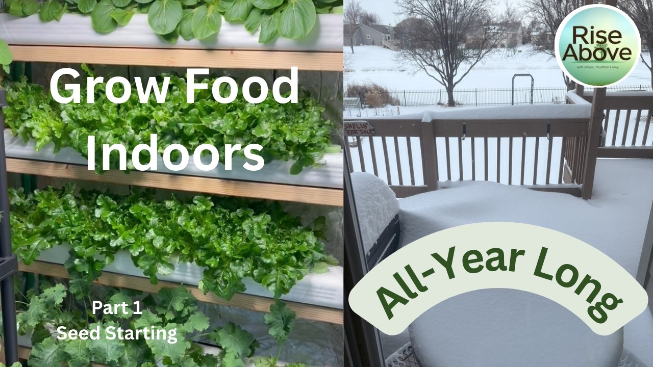Indoor Hydroponic Grow Tent Series