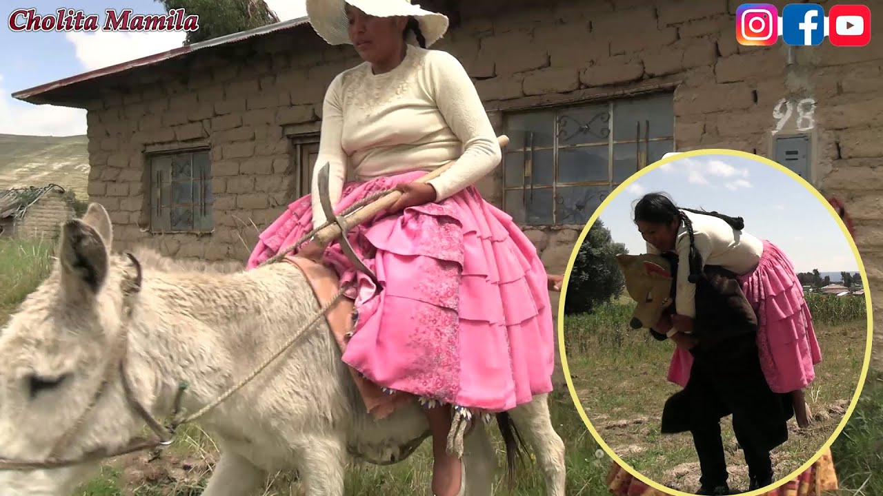el zorro se fue a enamorar a la cholita y no creeras lo que paso al final -cholita mamila