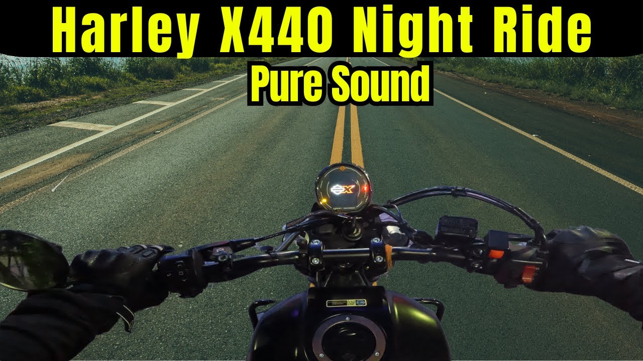 ASMR | Pure Sound of Harley Davidson X440 |  