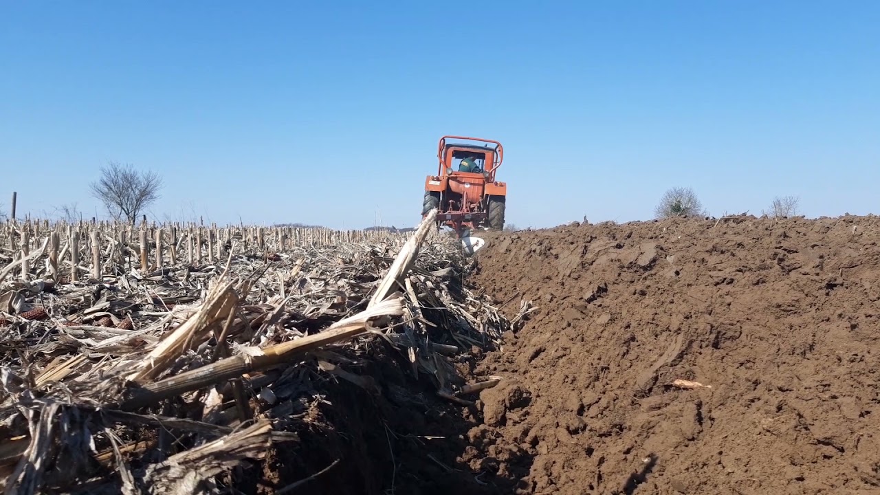 MTZ 50 Szántás