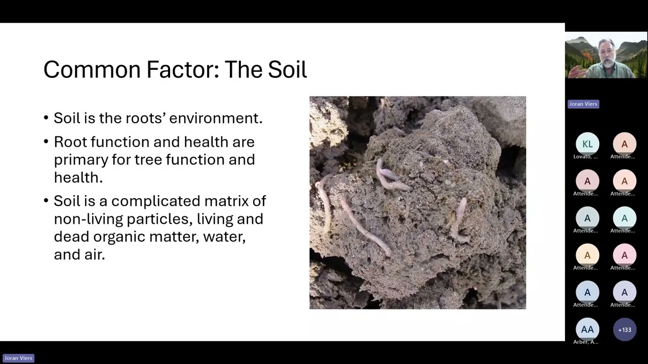 Webinar: Maintaining Tree Health During Drought