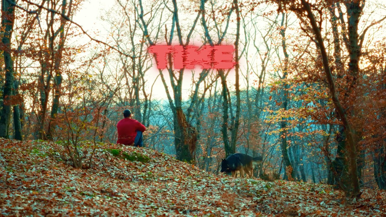 Everything Is Settled — Now You Can Drift Into Deep Sleep 🍁