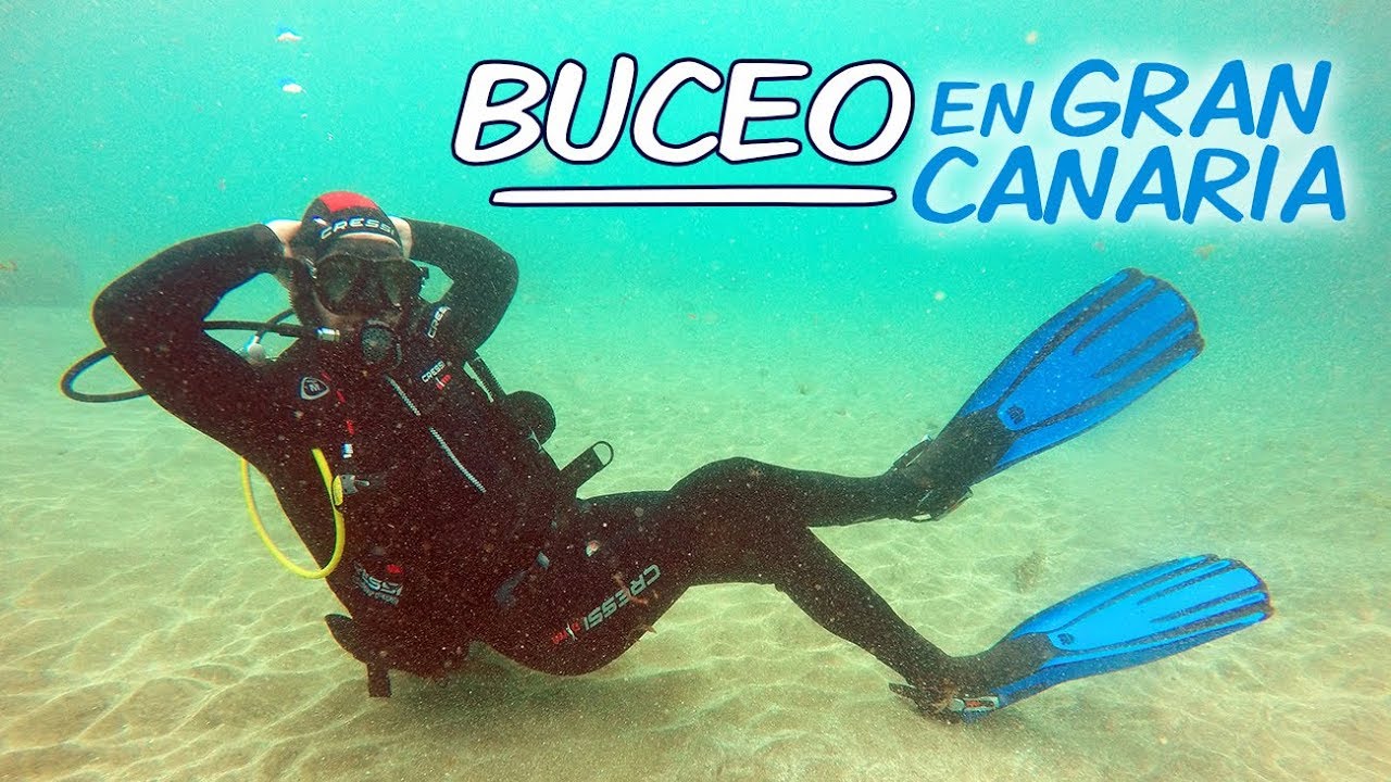 BUCEO en Gran Canaria 🏝️🇮🇨🐟🐡