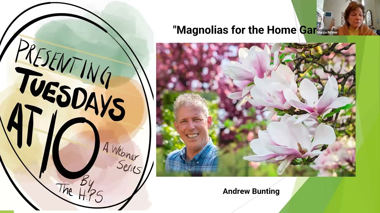 Magnolias for the Home Garden with Andrew Bunting