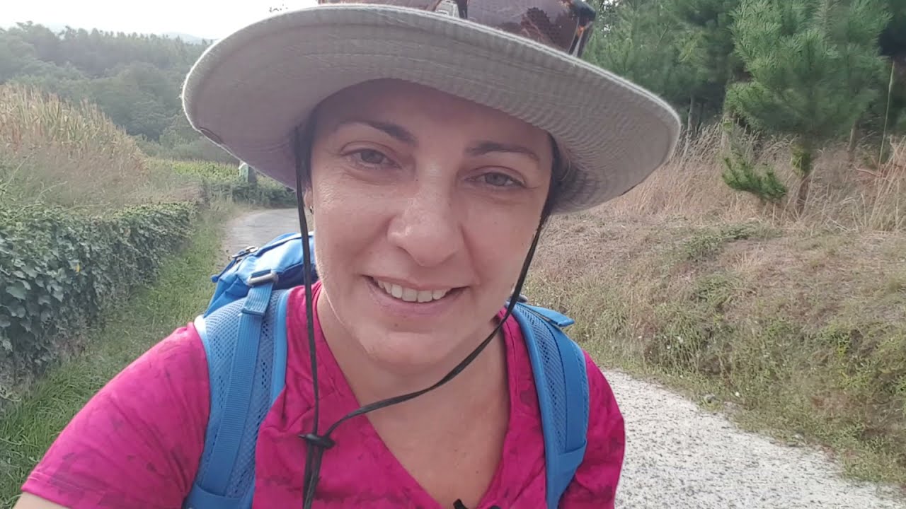 CAMINO DE SANTIAGO | CAMINO FRANCES | SARRIA | PORTOMAR&Iacute;N |