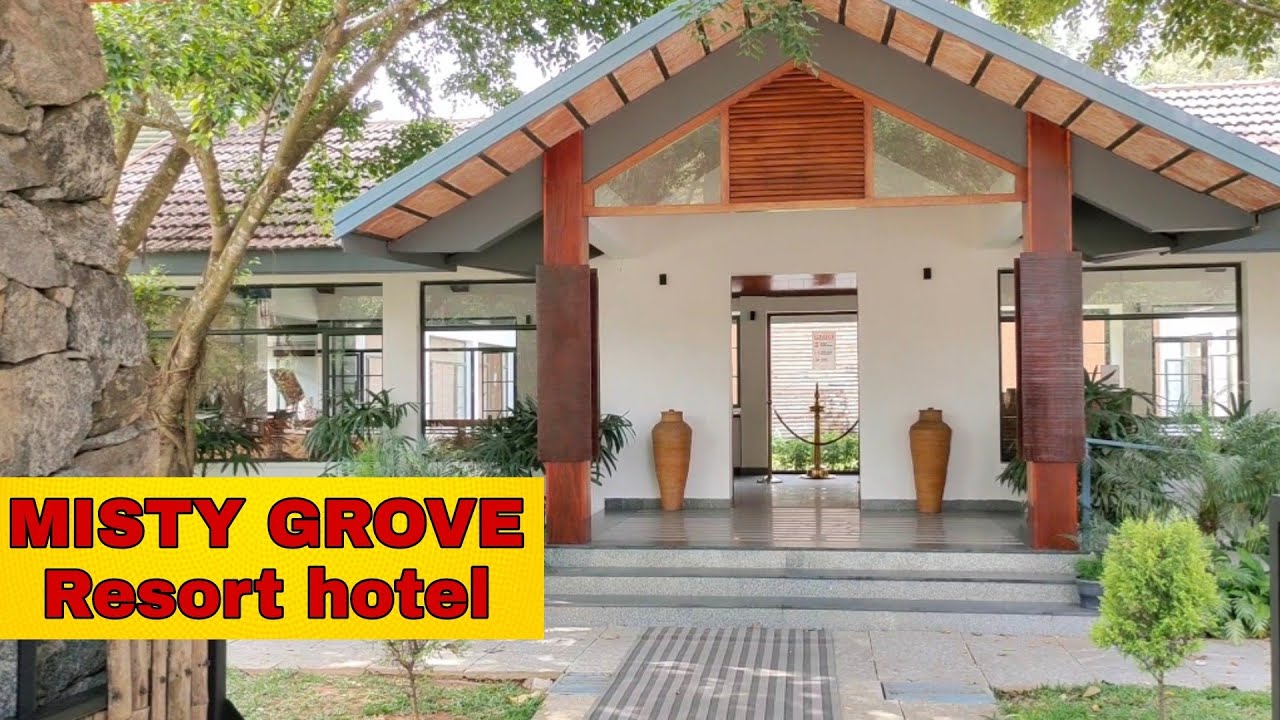 തേയില തോട്ടത്തിനുള്ളിൽ മൊഞ്ചുള്ള ഒരു Resort//Misty Grove Resort Hotel//zanus kitchen & vlogs