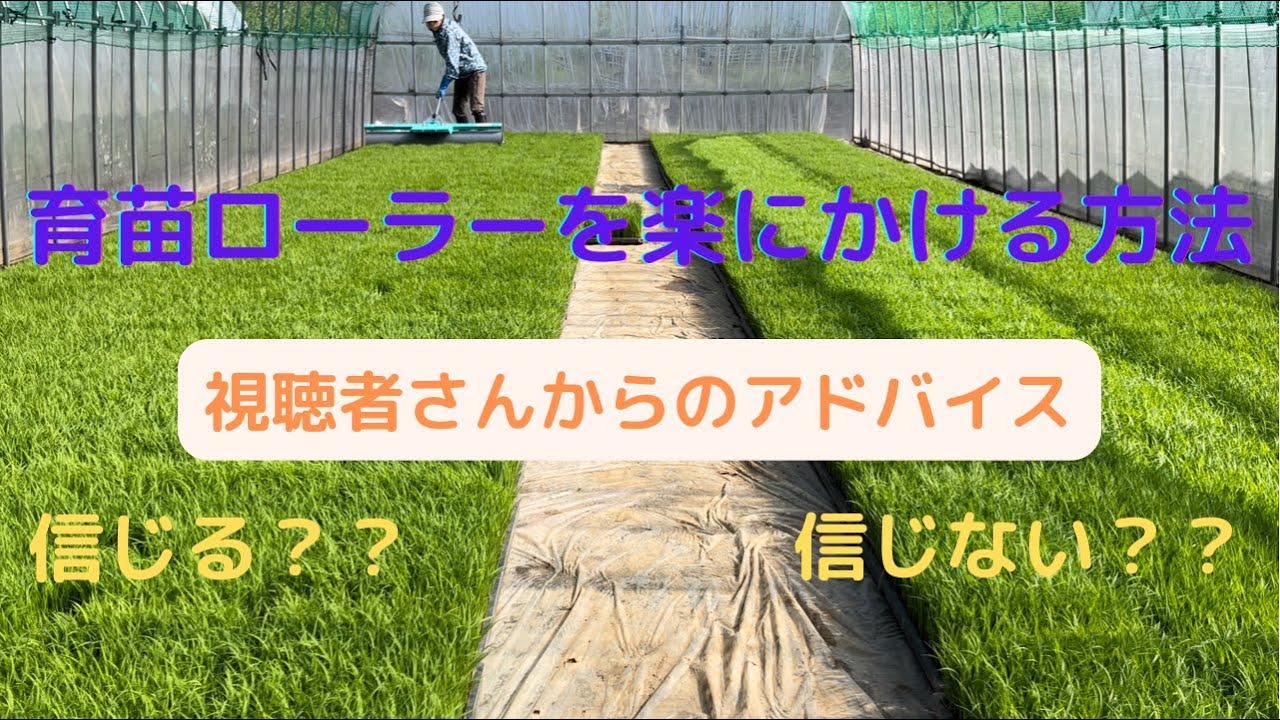育苗ローラーを楽にかける方法〜視聴者さんを信じる？信じない？〜
