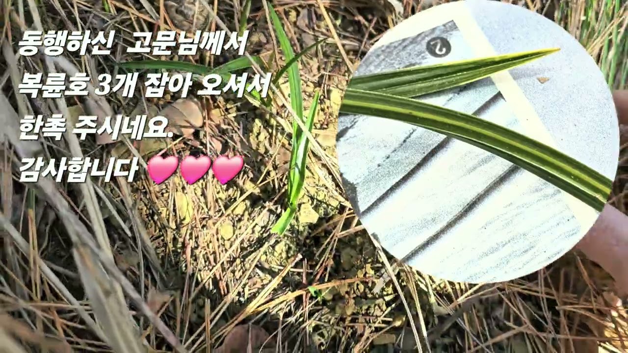 #산행 #호복륜 #즐겁게 봐 주세요😂