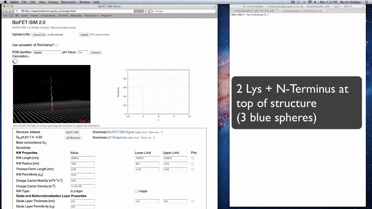 BioFET-SIM custom structure upload