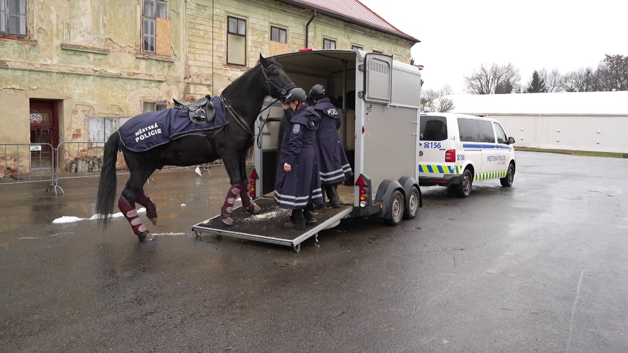 Jízdní policie Prahy 6 se přestěhovala z Chuchle do Suchdola