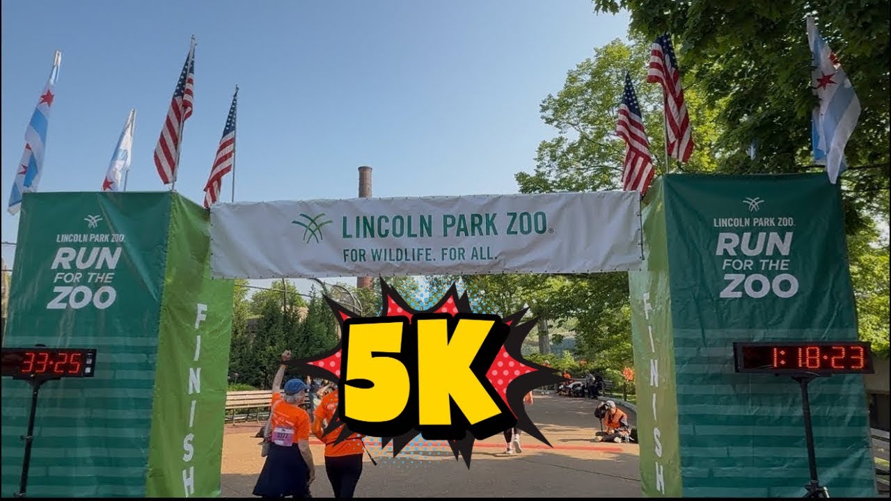 We Did A 5k Run At Lincoln Park Zoo