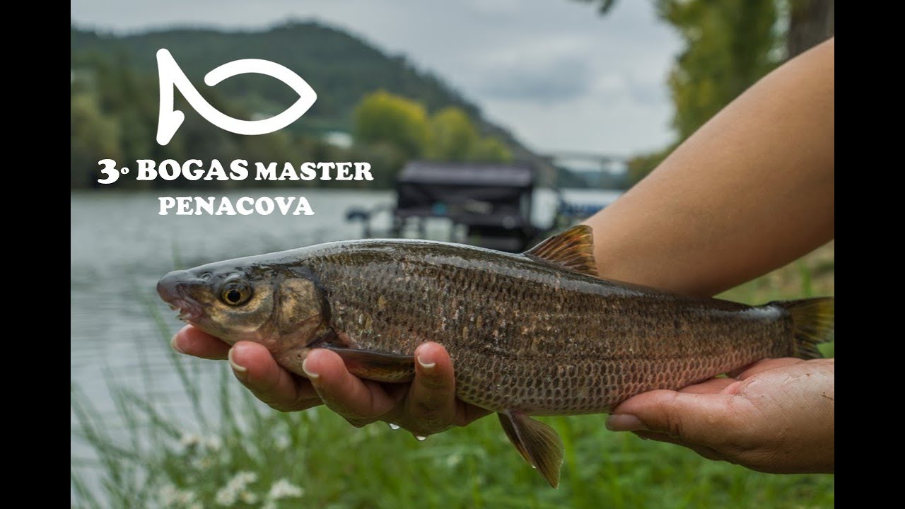 3º Bogas Master Penacova