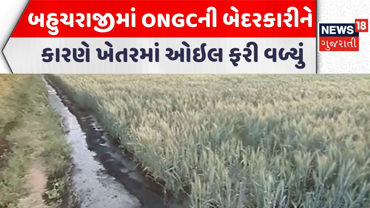 Mehsana Agriculture News | બહુચરાજીમાં ONGCની બેદરકારીને કારણે ખેતરમાં ઓઇલ ફરી વળ્યું | News18