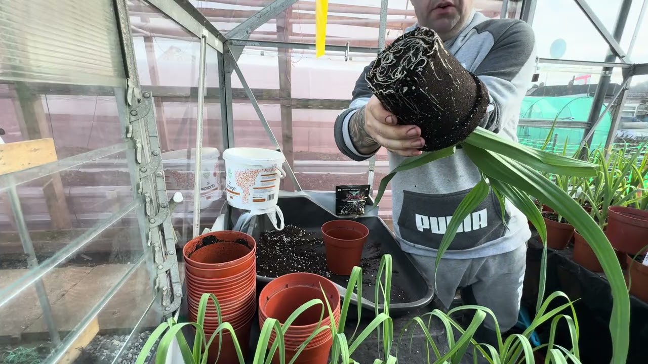 Potting that seems to never End 🤣🤣