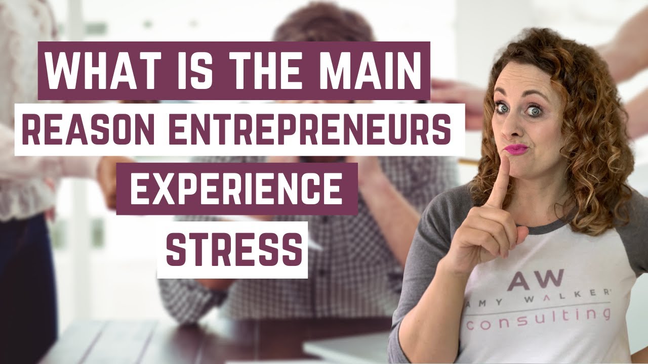 What is a main reason entrepreneurs experience daily stress? (stress burnout)
