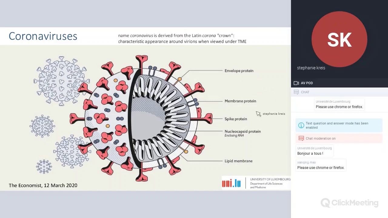 Coronaviruses The SARS CoV2 pandemic - a brief overview by Stephanie Kreis