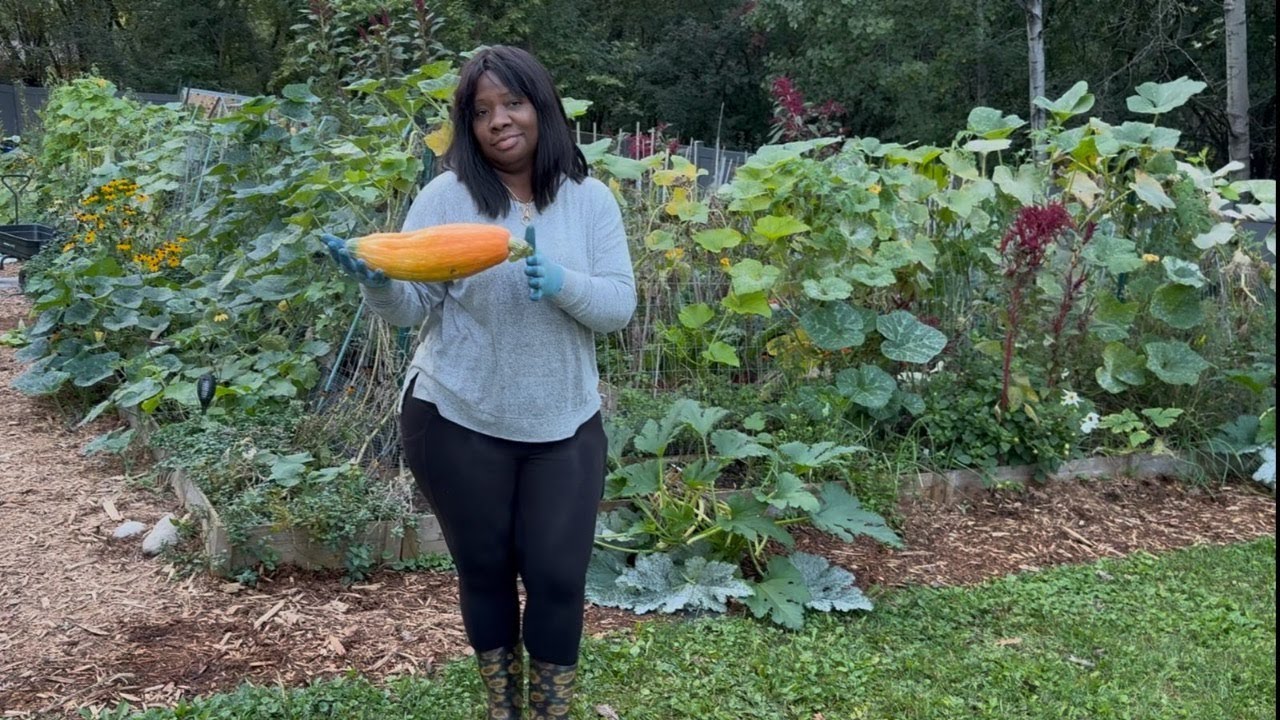 October 17 Live Garden Tour Update Gardening At Home With Sheree