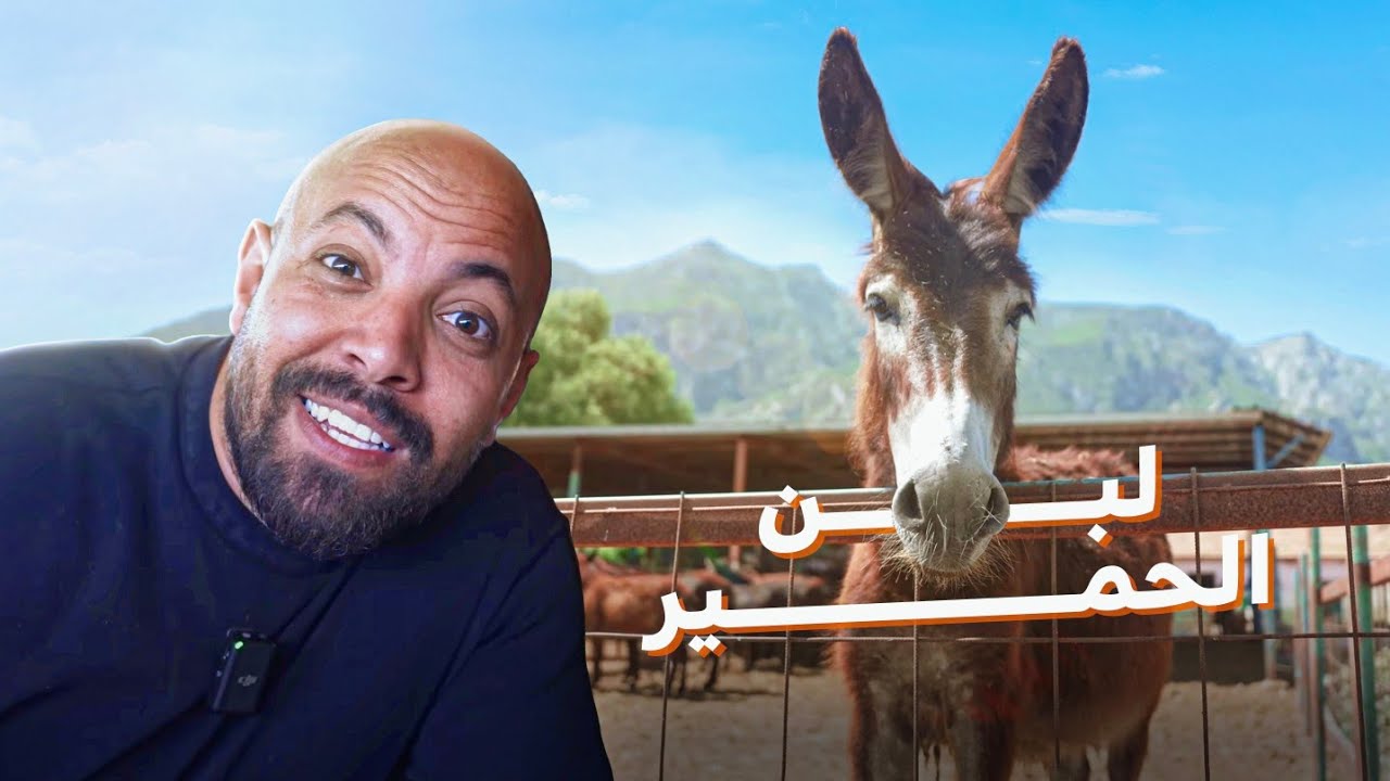 بيشربوا لبن الحمير وبيعالجوا بية الامراض