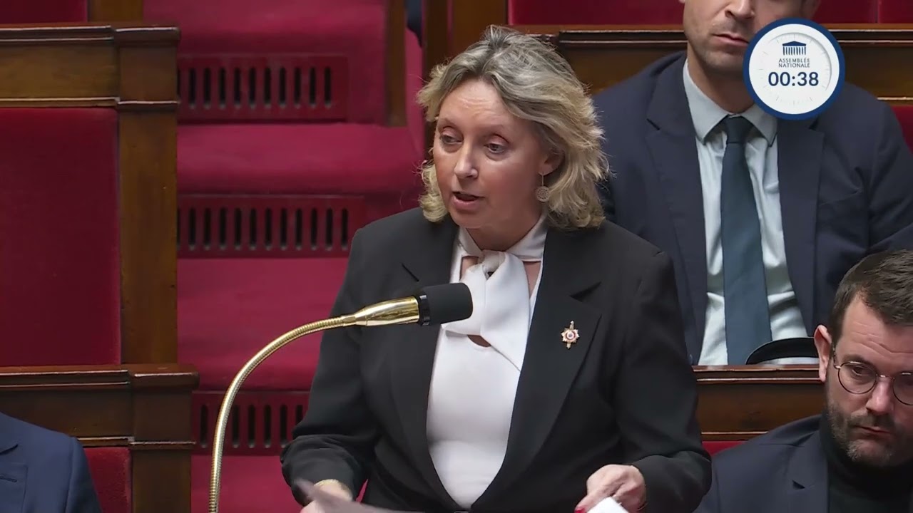 Question au Gouvernement de Marine Hamelet (06/01/2026)