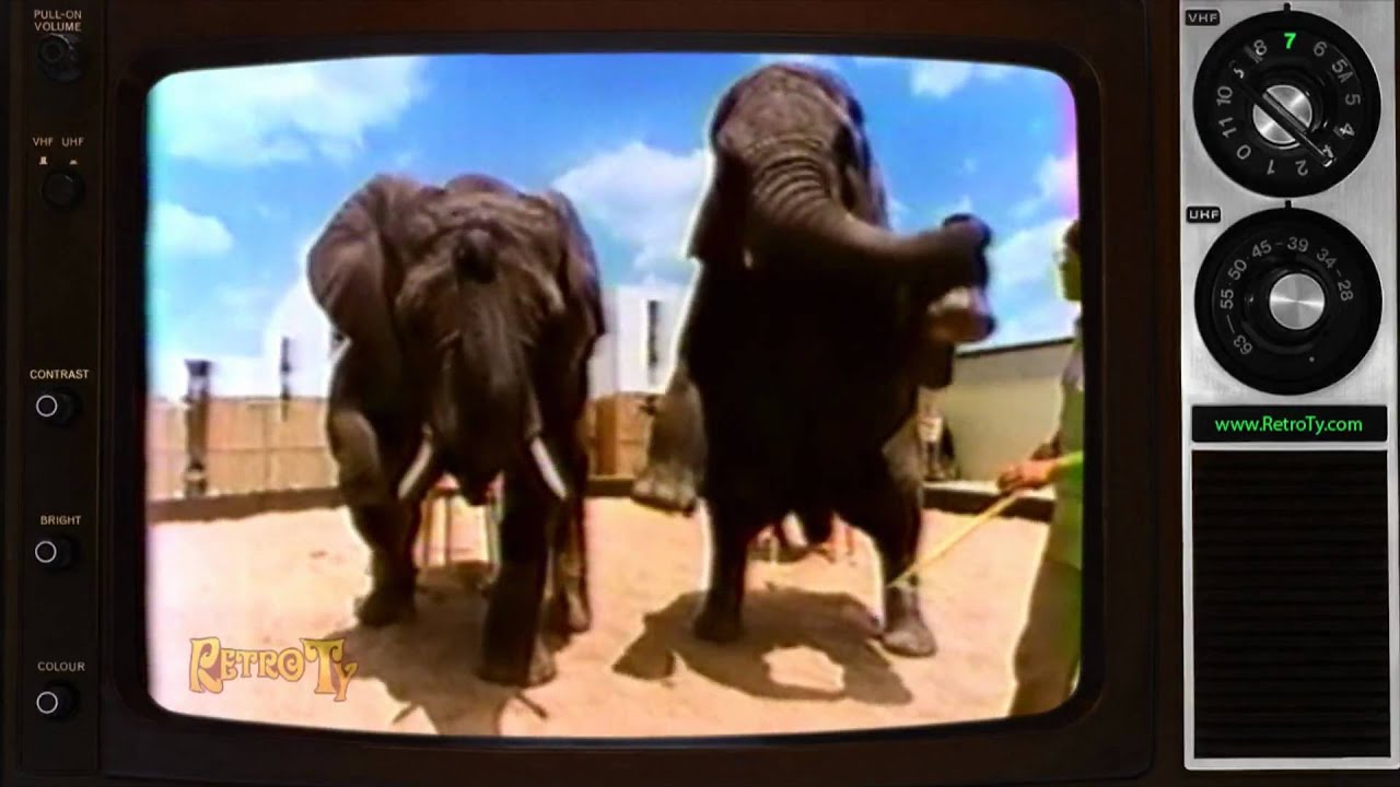 1985 - African Lion Safari