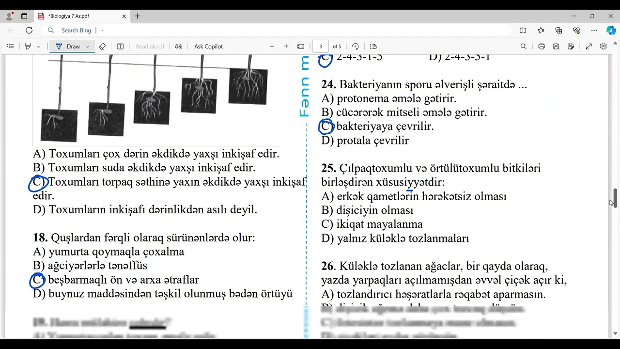 RFM Biologiya 7-ci sinif 2024