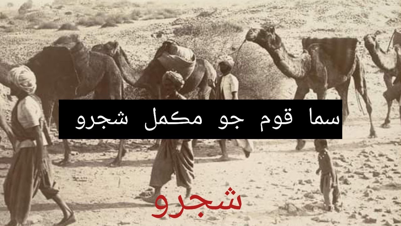 Shijra of Saman cast and full history The history of sindh