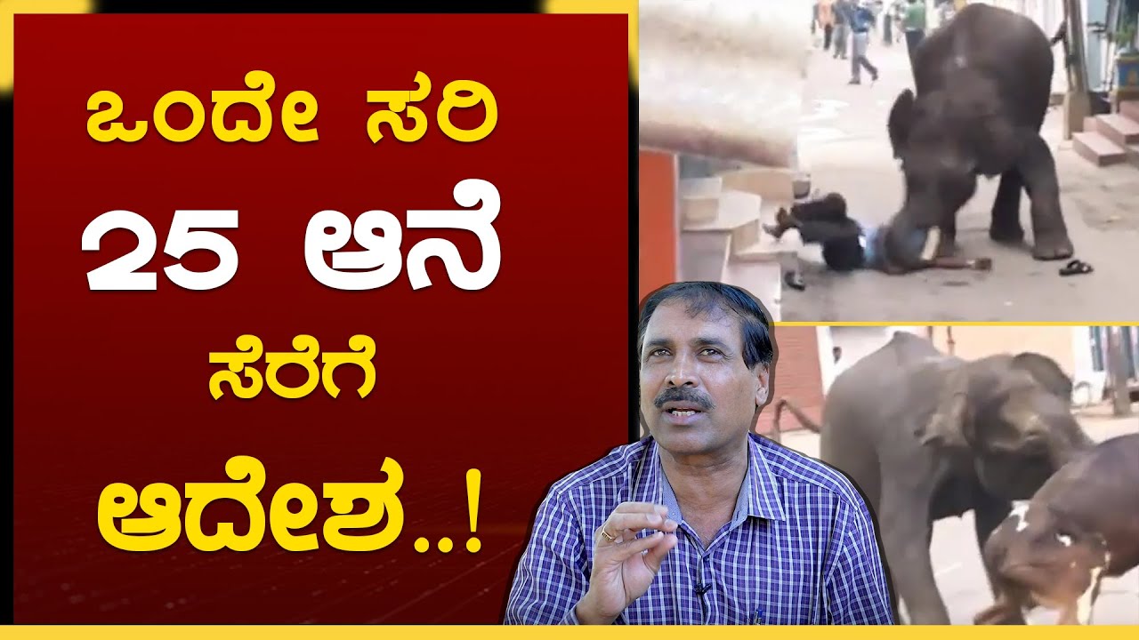 ಆನೆ ಹಿಡಿಯೋಕೆ ಹೋದ್ರೆ ಕಾಲೇ ಹೂತೋಗ್ತಿತ್ತು| Process of Rescuing Elephants| Nagaraj | EP-5 | GSS MAADHYAMA
