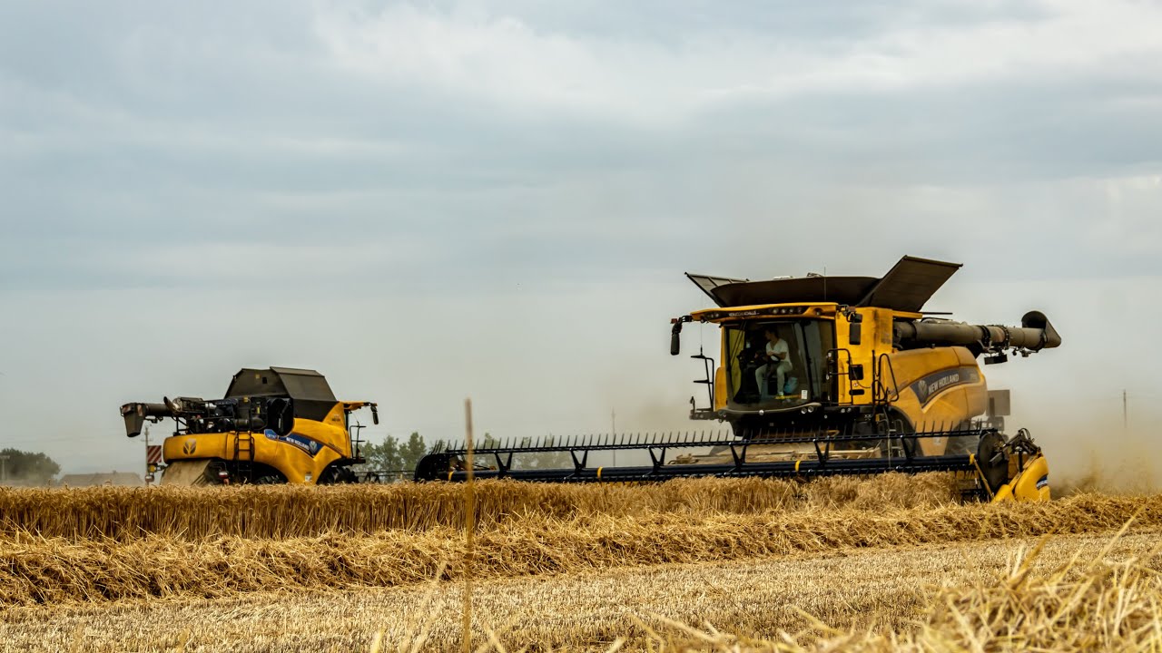Harvest 2022 | NewHolland CR 9.90 *Draper 35ft 10,7 m* & CR 7.90 | JCB & Vaia | Campagna Grano 💥🔝