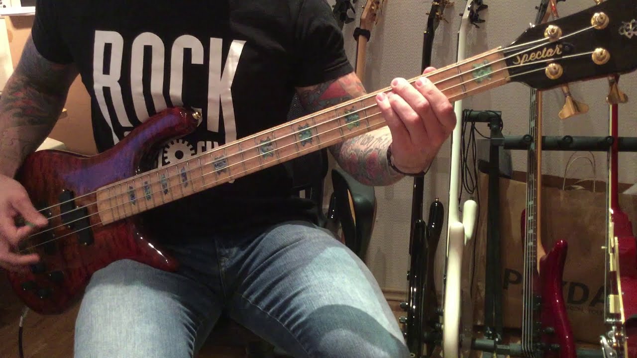 Spector Bass Comparison (NS-2, Euro-4LX, NS-2A)