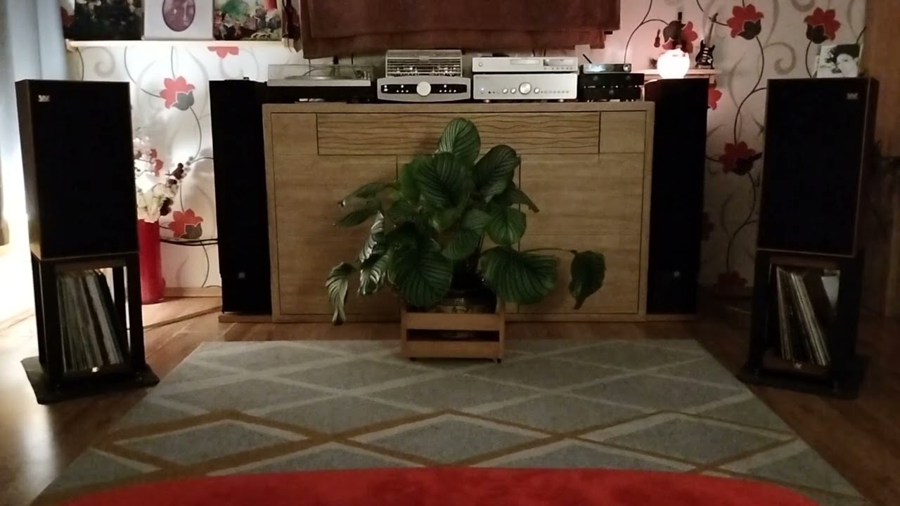 Yaqin MS90b/Wharfedale Linton 85/ Topping E70 Velvet.