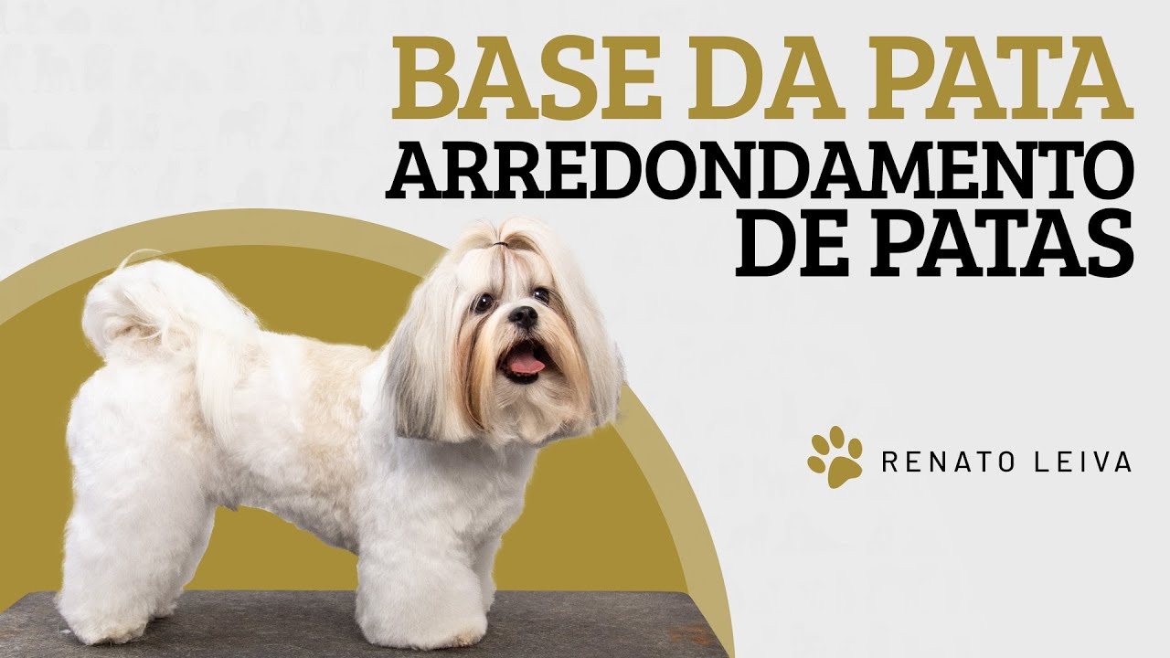 Renato Leiva - Base da pata | Arredondamento de Patas (Tosa Bebê)