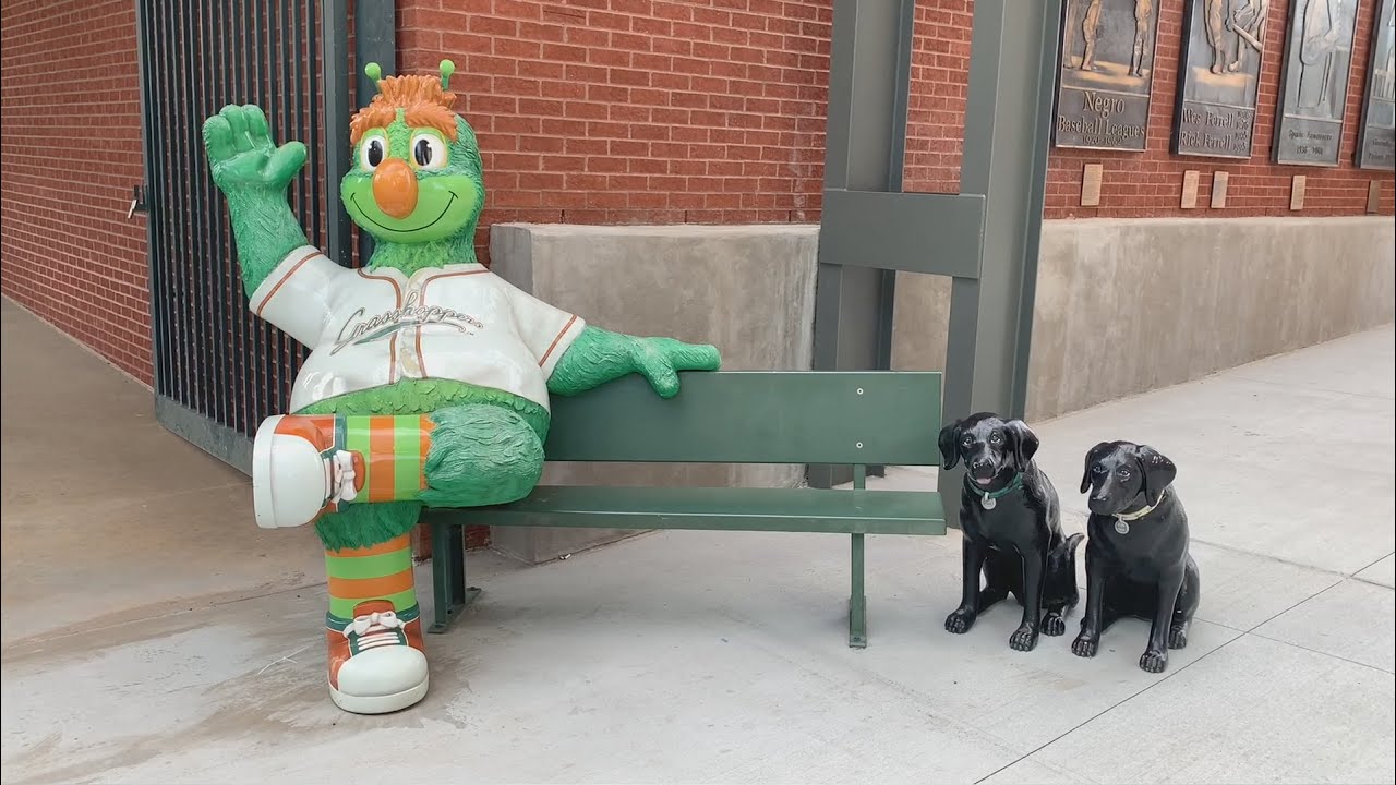 Greensboro Grasshoppers: Carolina Baseball Game 6