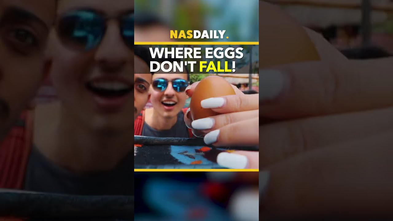 Where Eggs Don&rsquo;t Fall  #1