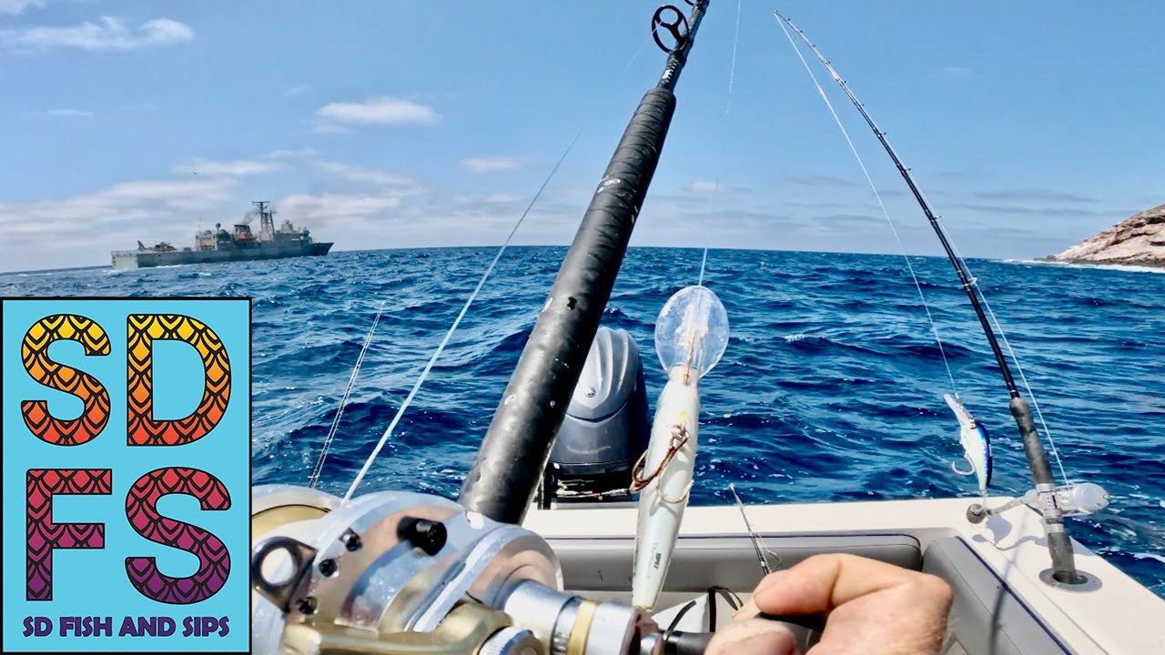 MEXICAN NAVY & CORONADO ISLANDS YELLOWTAIL | Fishing San Diego Freedom Boat Club Spring 2025 SDFS