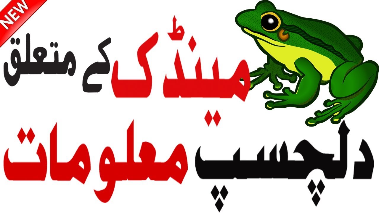 Facts About Frogs | Information About Frogs | Frog Facts |  interesting About Frogs | Hidden Secrets