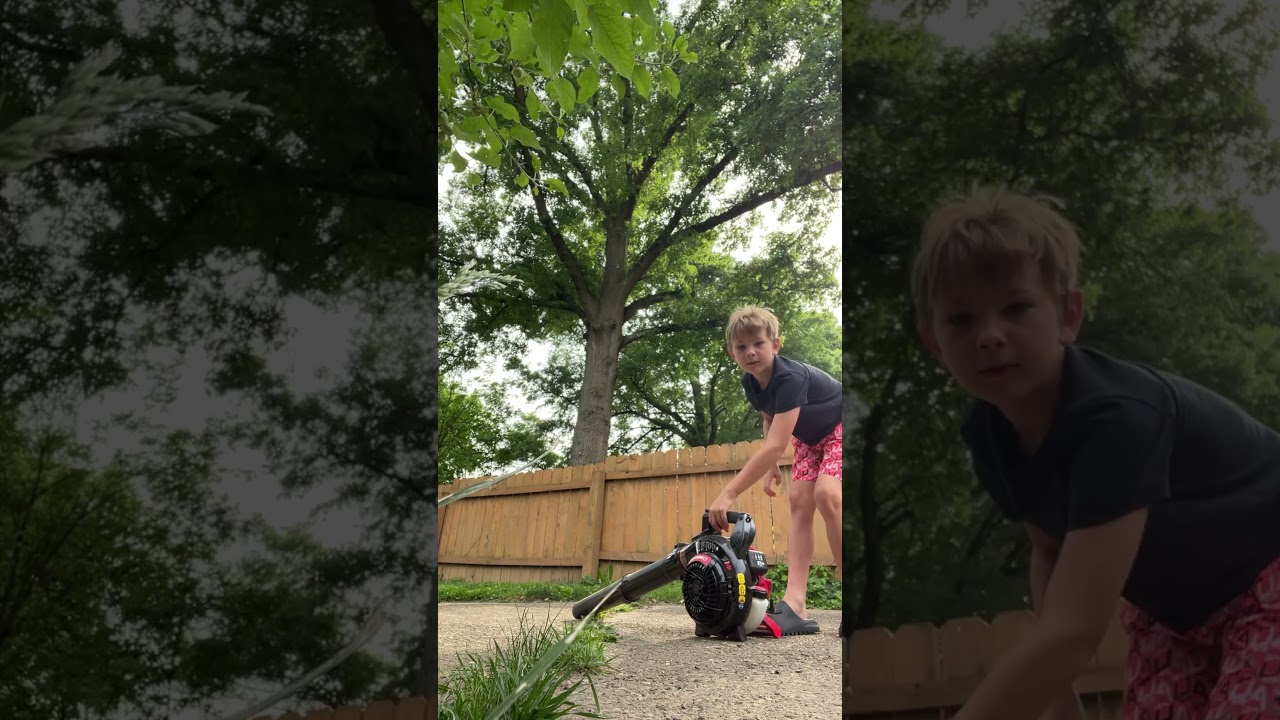 Troy bilt, leaf blower starting