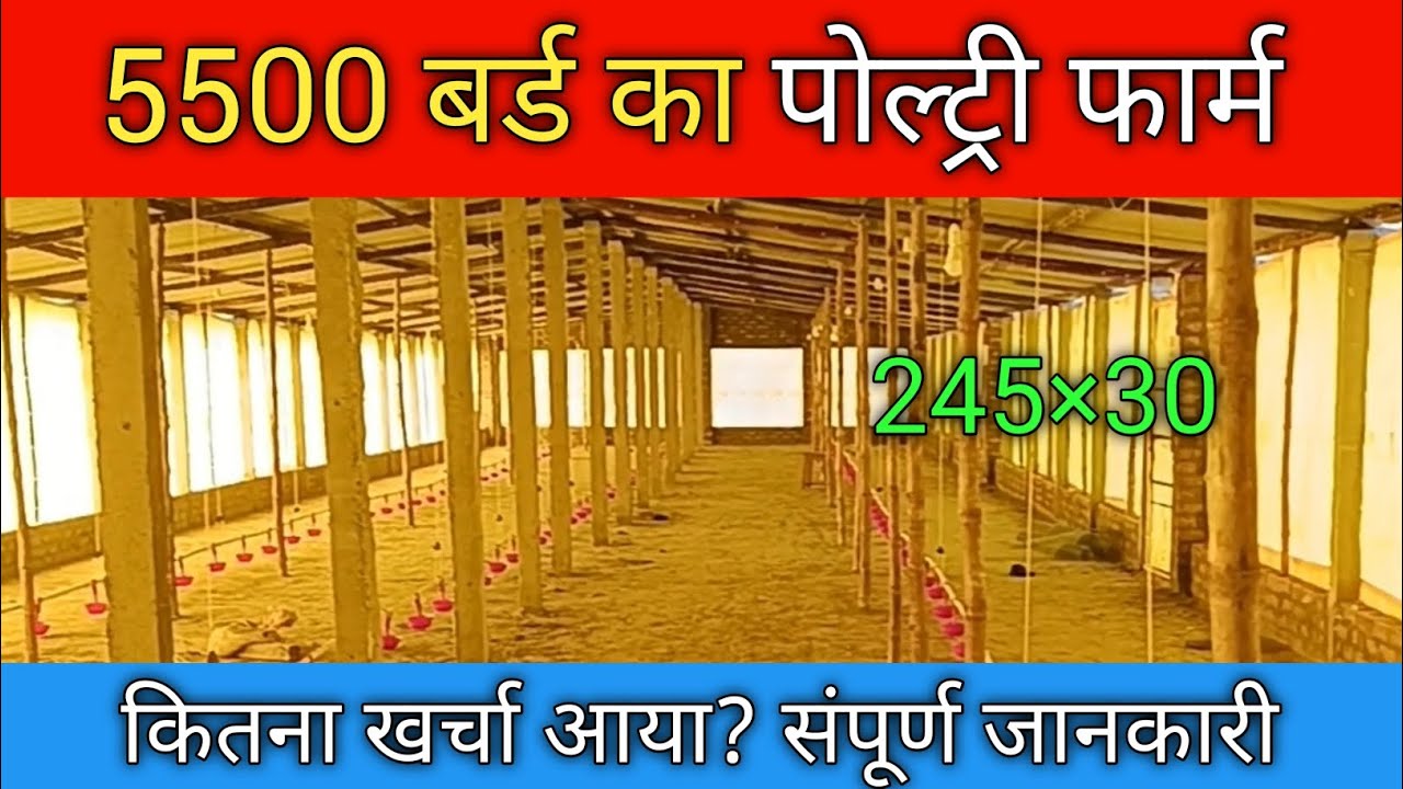 इस Poultry Farm 🐔 को बनाने में कितना खर्चा लगा | Low Cost Poultry Farm Setup