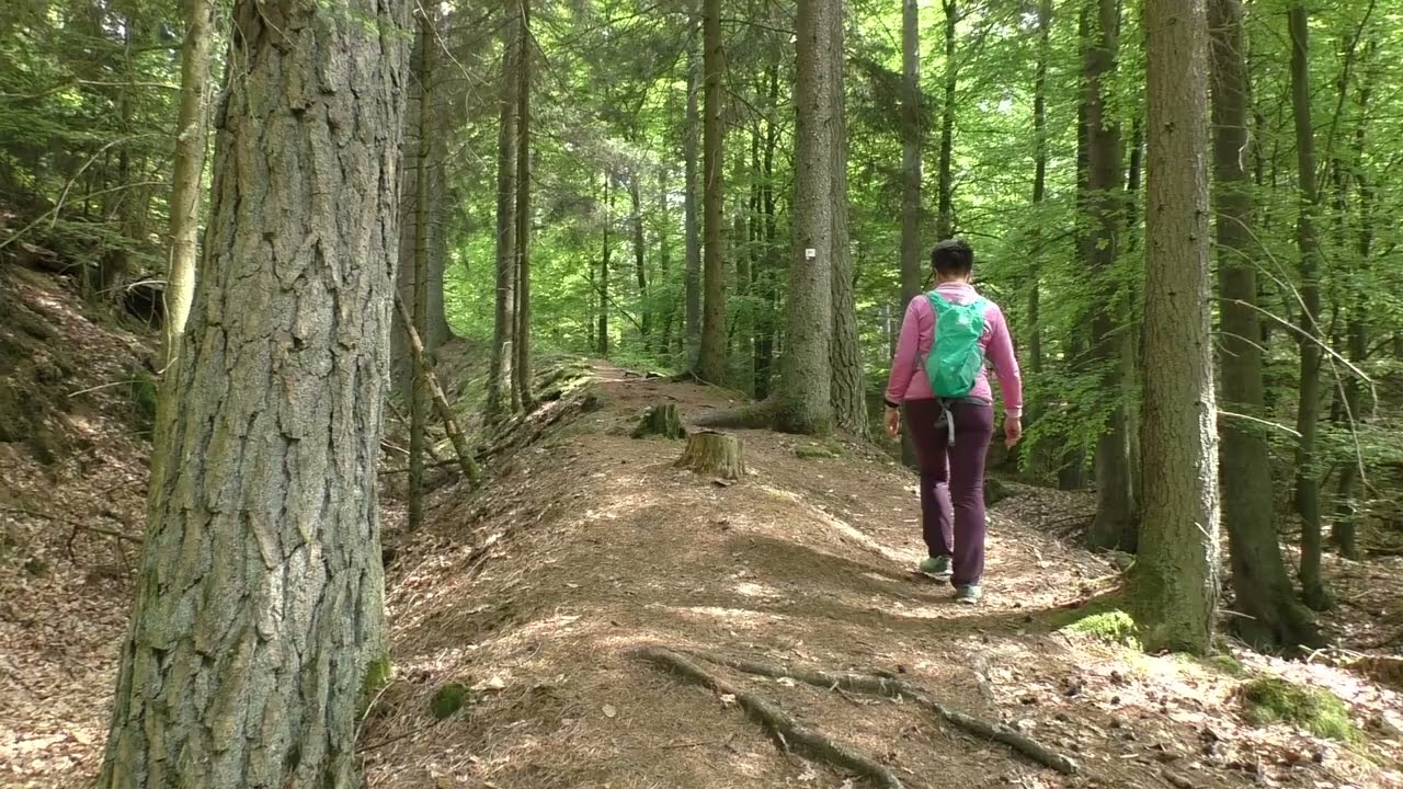 Burgwald: Stirnhelle (14 Km)