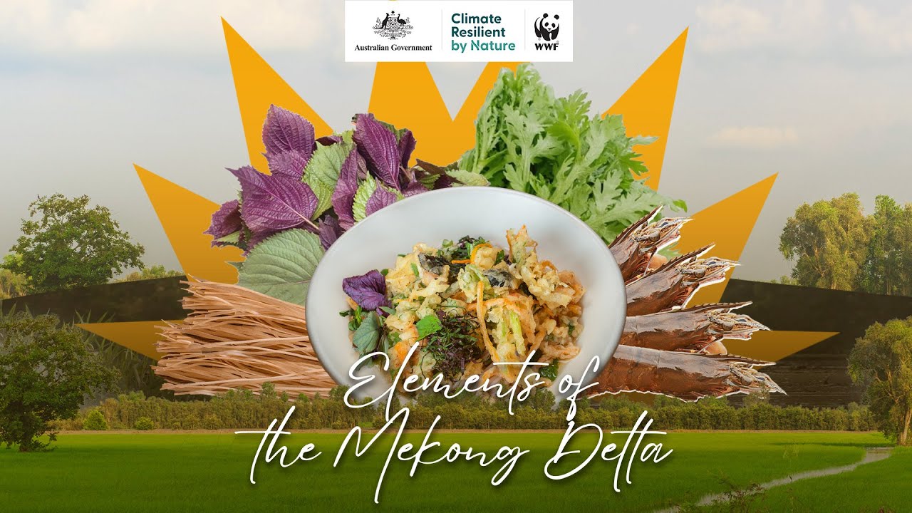 Elements of the Mekong Delta - Episode 2