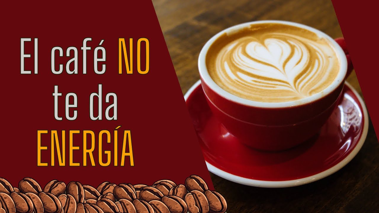 ¿Cómo FUNCIONA la CAFEÍNA en nuestro CEREBRO?