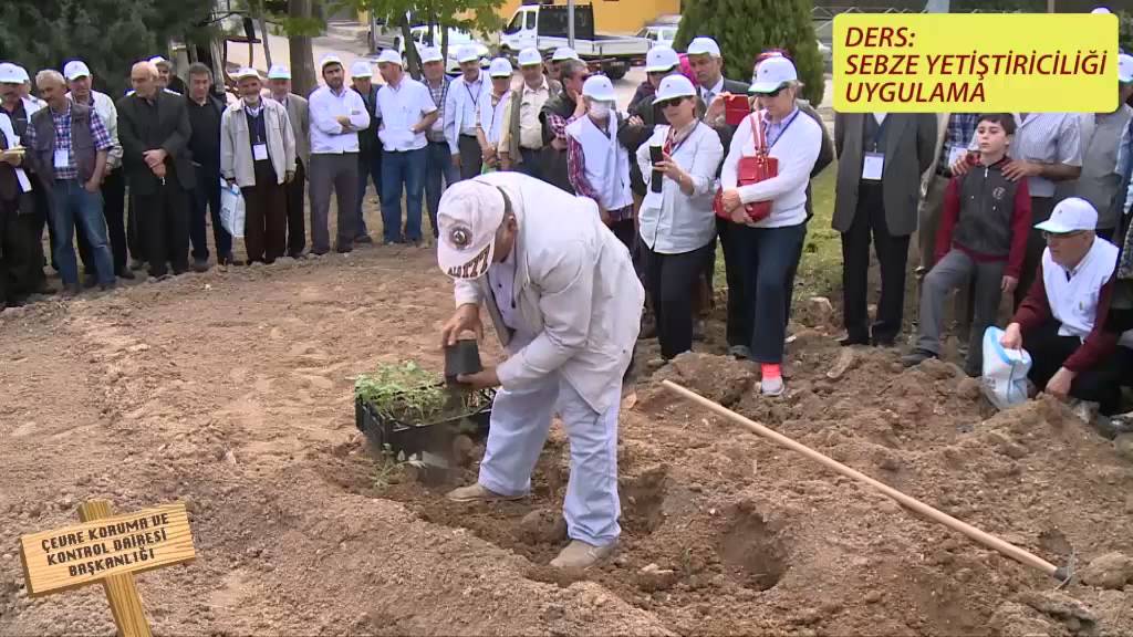 BAHÇIVANLIK KURSU UYGULAMA DERSLERI 6. BOLUM SEBZE YETIŞTİRİCİLİĞİ (Bilgenur BİLİCİ - Serap ÖZEL)