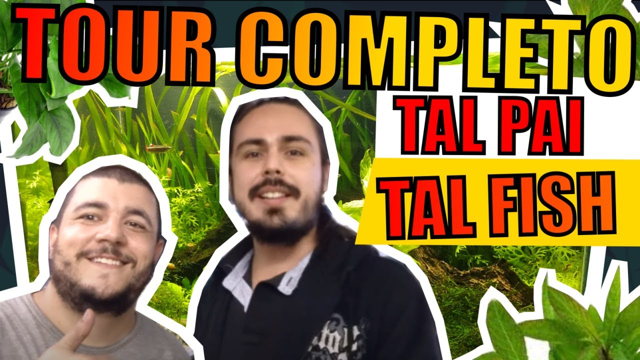 🔴TOUR OF THE TAL PAI TAL FISH STORE + GIVEAWAY |Mr. Betta|