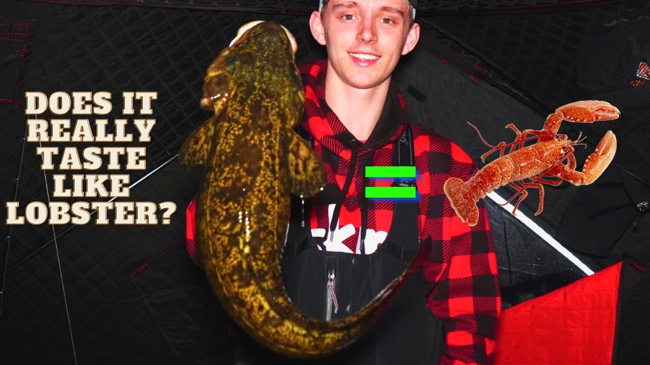 Eating "Poor Man's Lobster" Burbot Catch and Cook + The Best Recipe For Frying Fish
