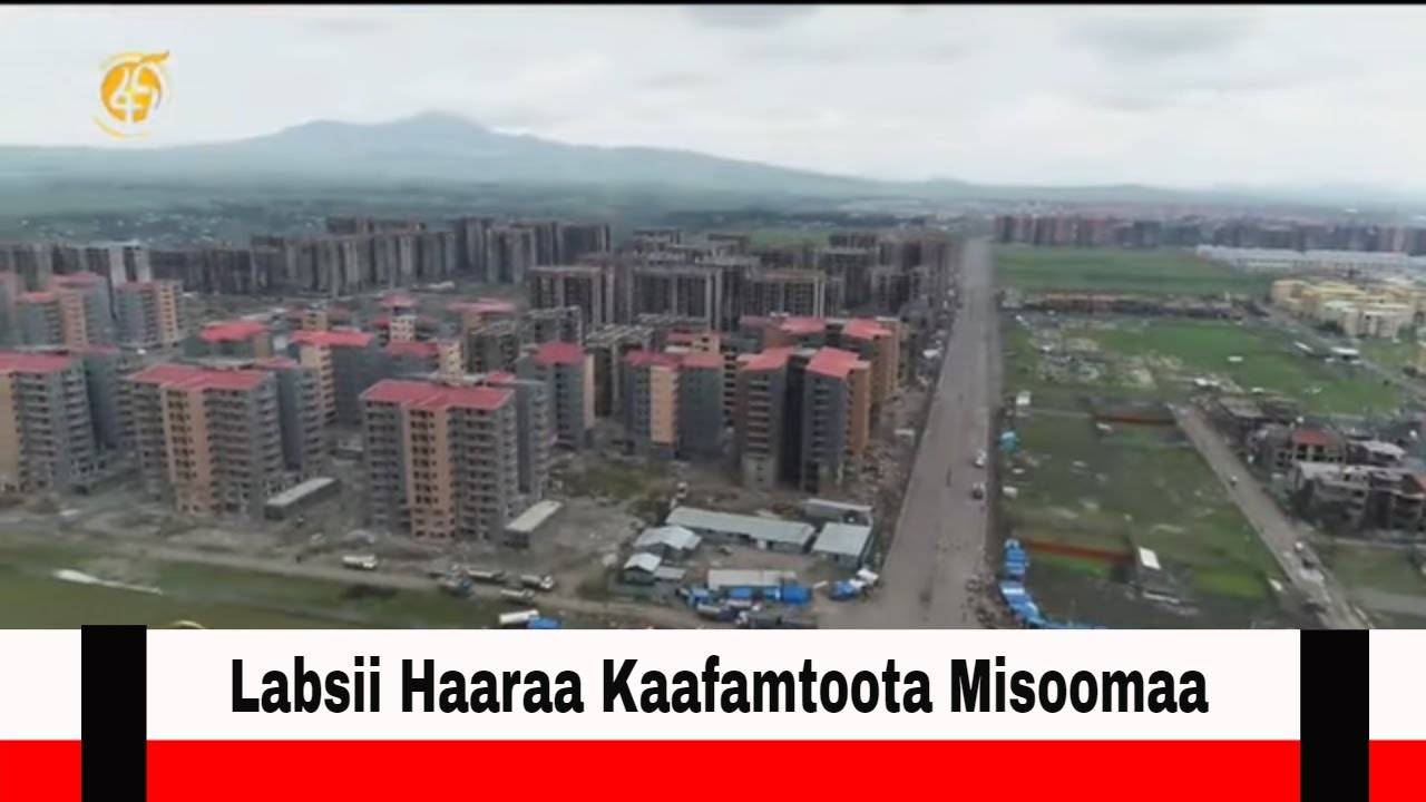 Labsii Haaraa Kaafamtoota Misoomaa